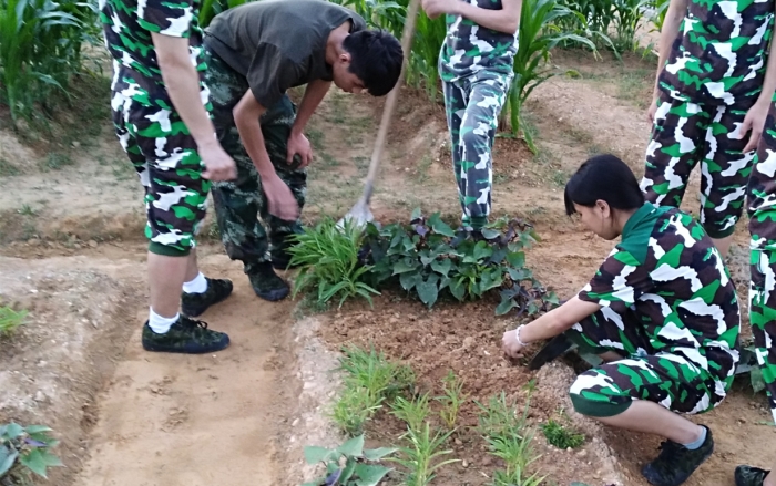 微信图片_20180530104006_副本.jpg